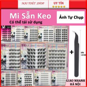 Mi giả sẵn keo tự dính dễ gắn tái sử dụng nhiều lần mi hoa hướng dương đa dạng mẫu mã tiện lợi trang điểm mắt to